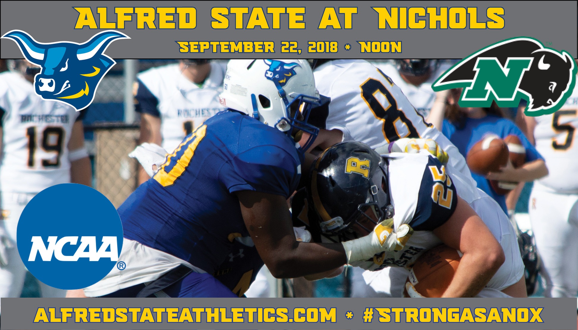 Alfred State travels to Nichols to take on the Bison in their final non-conference contest.