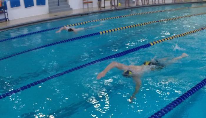 Swim Teams Dives into New Season
