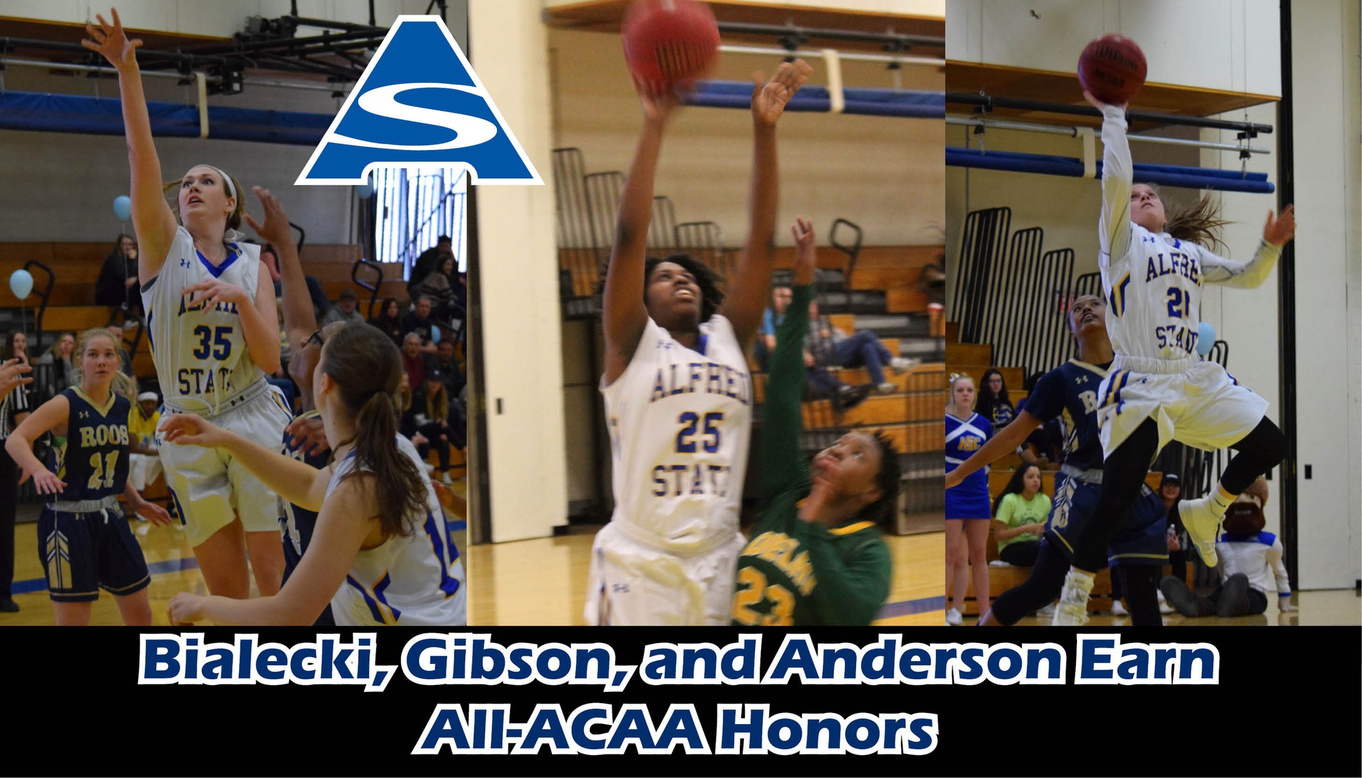 Catherine Bialecki, Janae Gibson & Rayanna Anderson named All-ACAA