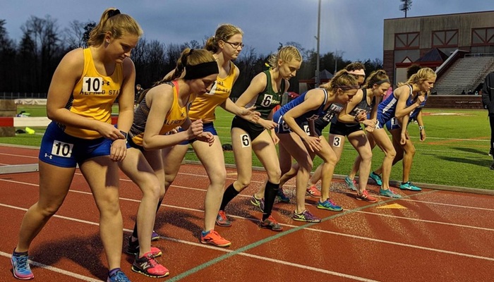 Starting line of the Steeplechase