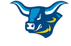 Full Color Ox Head Logo