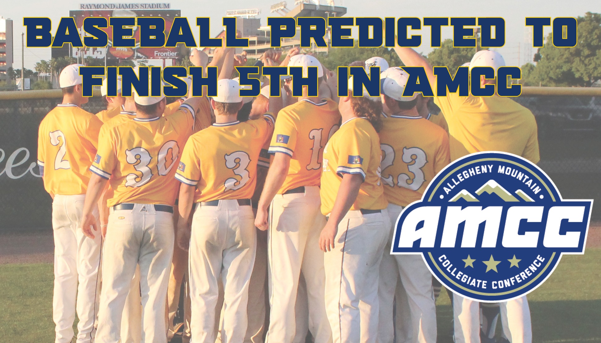 Baseball team predicted to finish 5th in AMCC