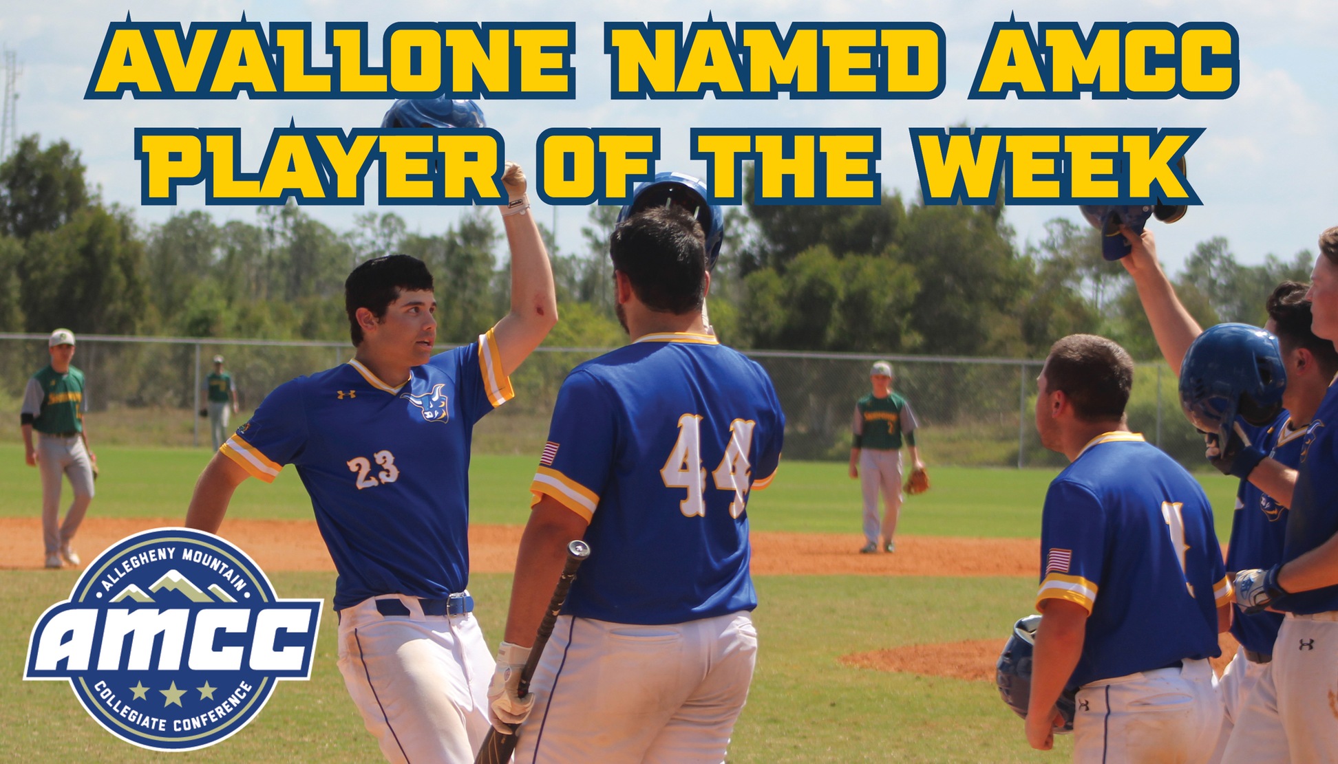 Matteo Avallone named the AMCC Player of the Week