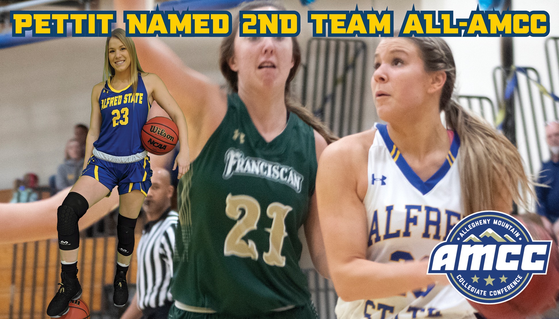 Pettit Named 2nd team All-AMCC