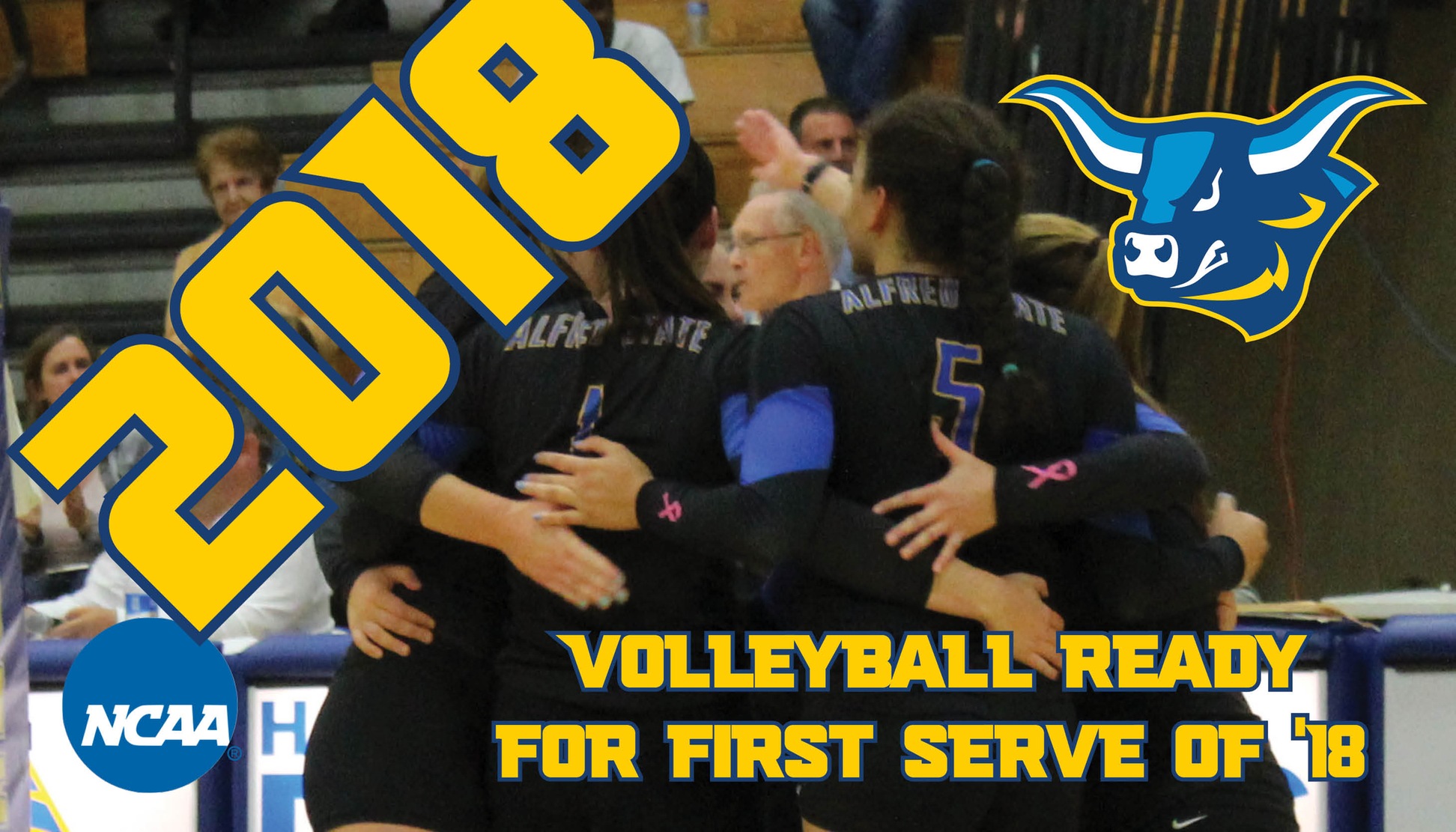 2018 Alfred State Volleyball Preview
