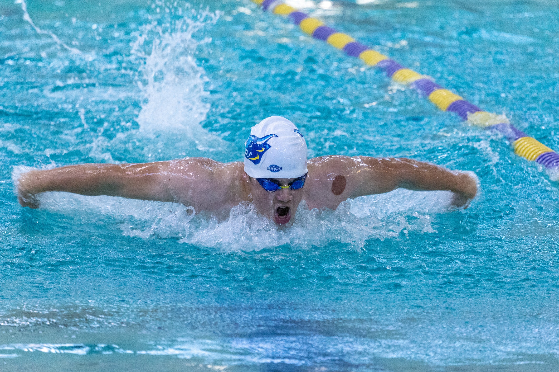 Men’s Swimming and Diving are First Team to Record Undefeated Regular Season in DIII Era for Alfred State